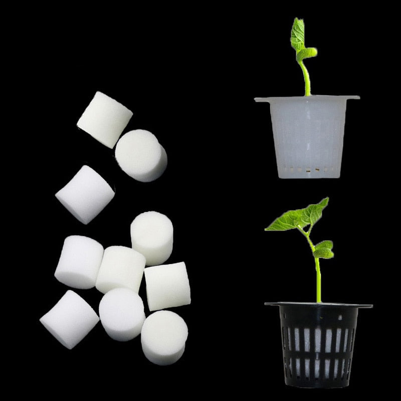 20Pcs Soilless Hydroponic Vegetables Nursery Pots Nursery Sponge Seed Trays Flower Seed Soilless Cultivation System Plant Tools