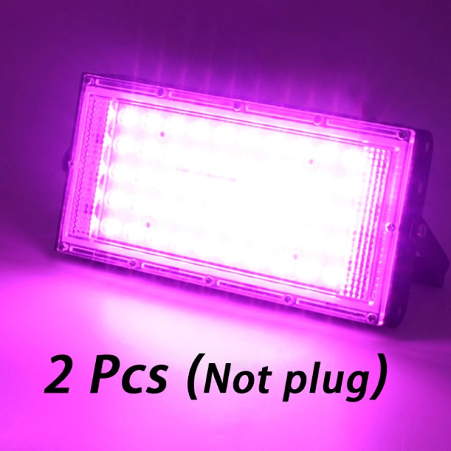 2pcs 50W LED Grow Light 220V Full Spectrum Phytolamp For Plants Outdoor Indoor Greenhouse Flower Seeds Grow Tent Box LED Lamps