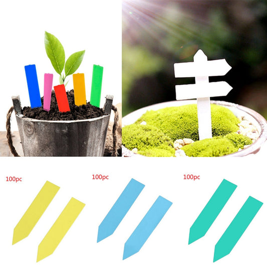 100 Pcs Plastic Plant Seed Labels Pot Marker Nursery Garden Stake Tags Flower Label 5x1cm Plant Name Marking Garden Supplies