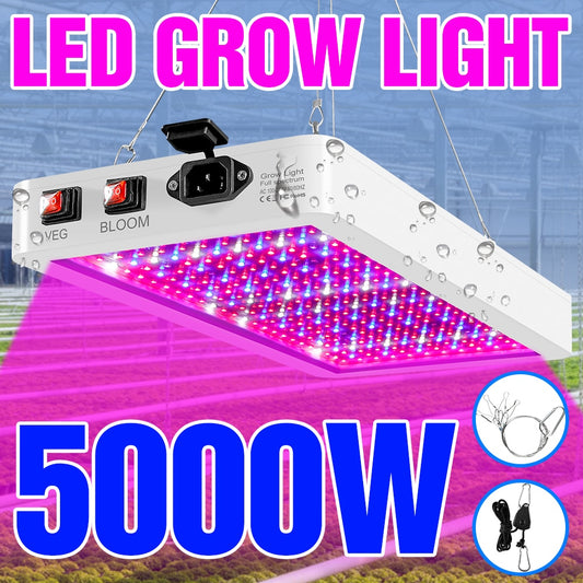 LED Quantum Board Plant Light 2835 Chip Full Spectrum Phyto Lamp For Cultivate Seed Flower 4000W 5000W Waterproof Grow Lights