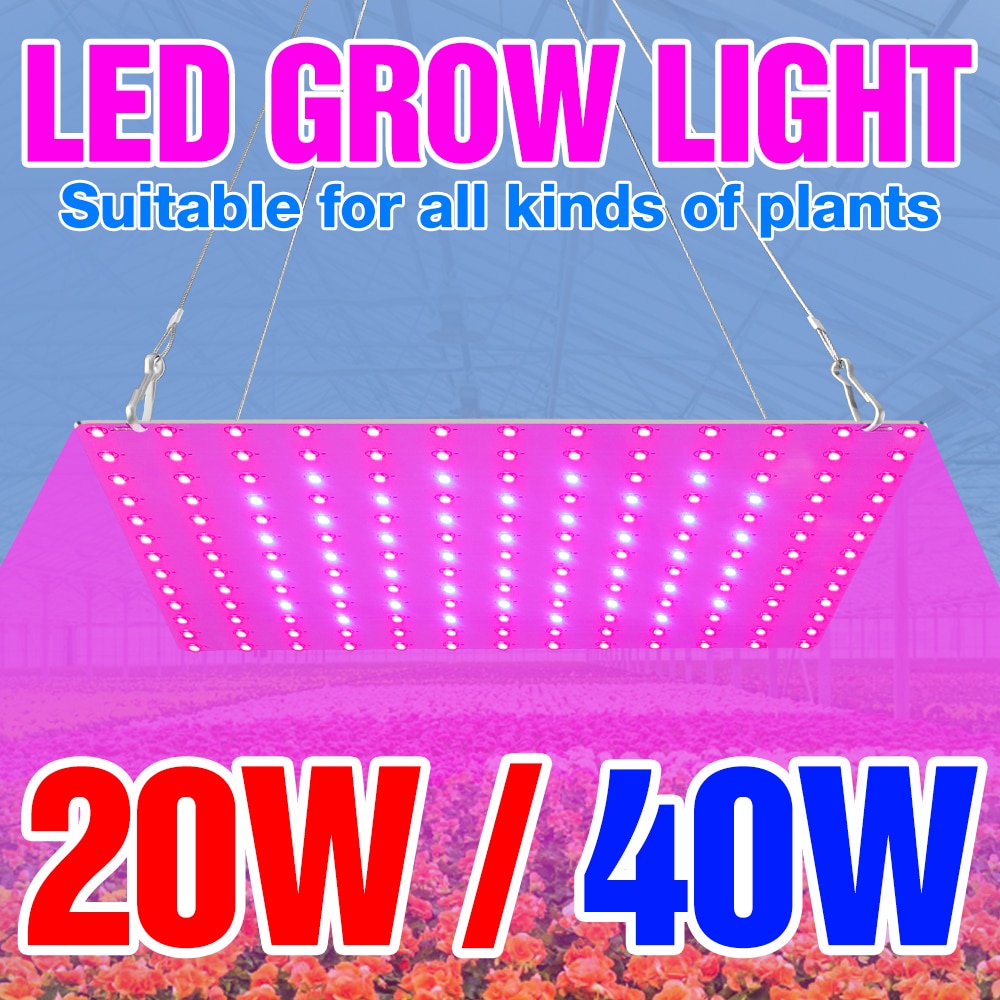 20W 40W Full Spectrum Phyto Light LED Grow Lamp Flower Hydroponics Plants Growth Box US UK EU 220V Seed Cultivation Green House