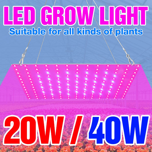 20W 40W Full Spectrum Phyto Light LED Grow Lamp Flower Hydroponics Plants Growth Box US UK EU 220V Seed Cultivation Green House