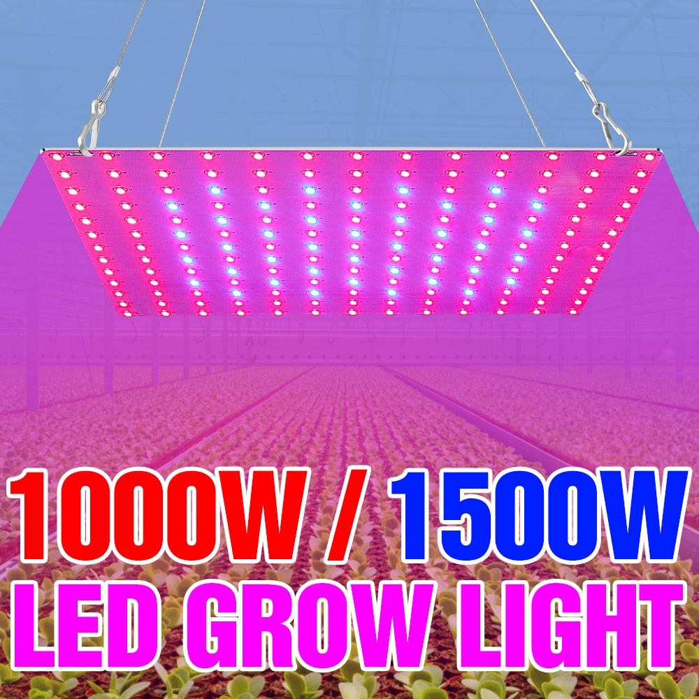 1000W 1500W Indoor Phytolampy 220V Plant Seeds Lamp LED Grow Light Full Spectrum LED Panel 110V Greenhouse Fito Hydroponics Bulb