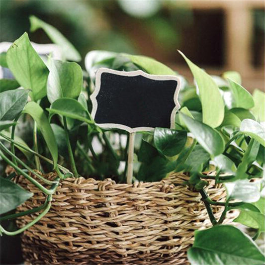 50PCS Wooden Herb Plant Pot Blackboard Garden Kitchen Seed Flower Labels Chalk Tags Planting Notes